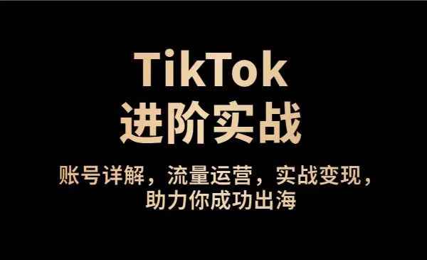 TikTok进阶实战课：账号详解，流量运营，实战变现，助力你成功出海